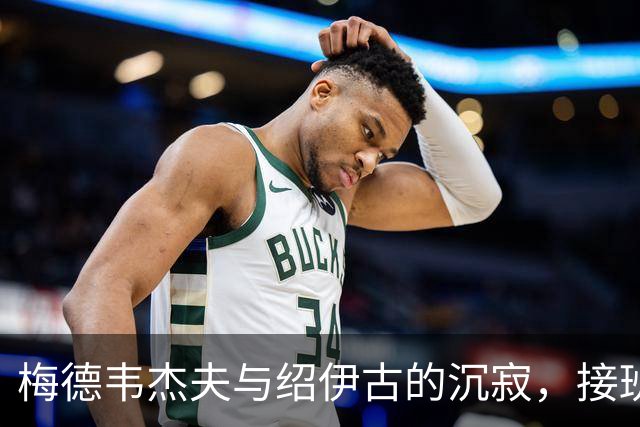 梅德韦杰夫与绍伊古的沉寂，接班人之路的背后隐秘信号